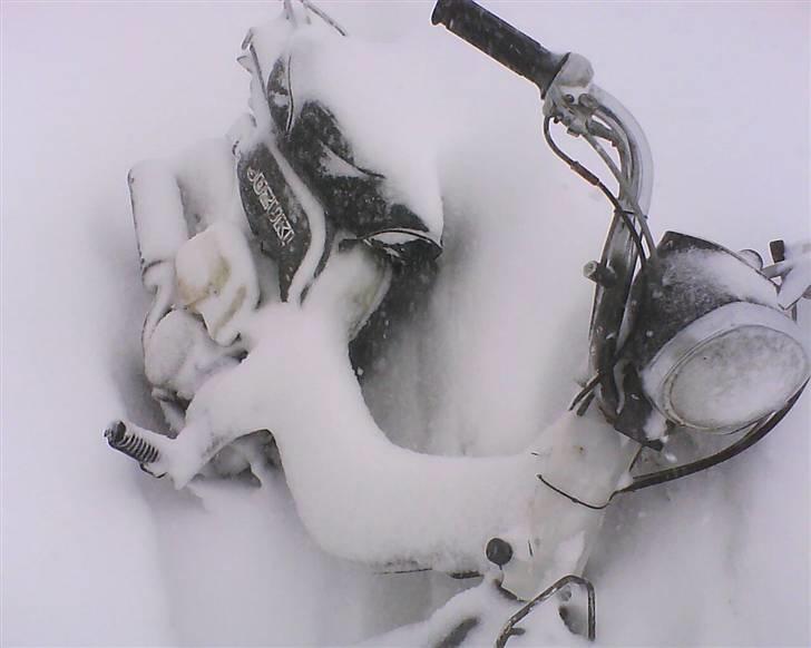 Suzuki FZ50 byttet caio billede 7