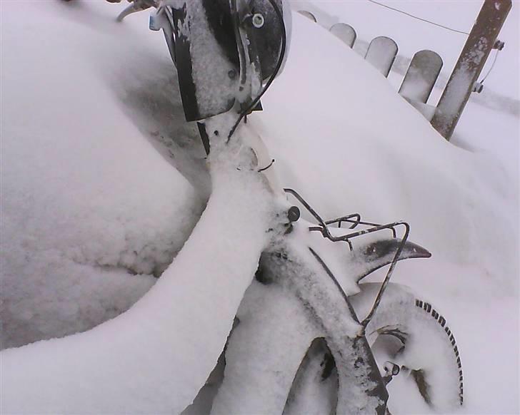 Suzuki FZ50 byttet caio billede 8