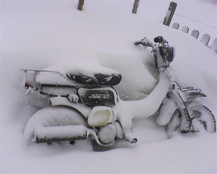 Suzuki FZ50 byttet caio billede 9