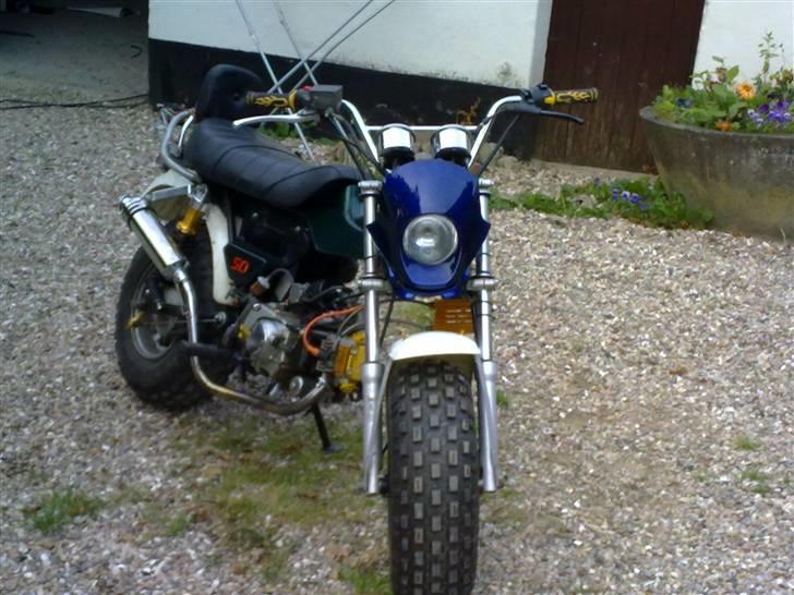 Skyteam t,rex 50,ccm billede 1