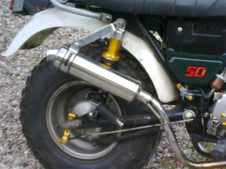 Skyteam t,rex 50,ccm billede 3