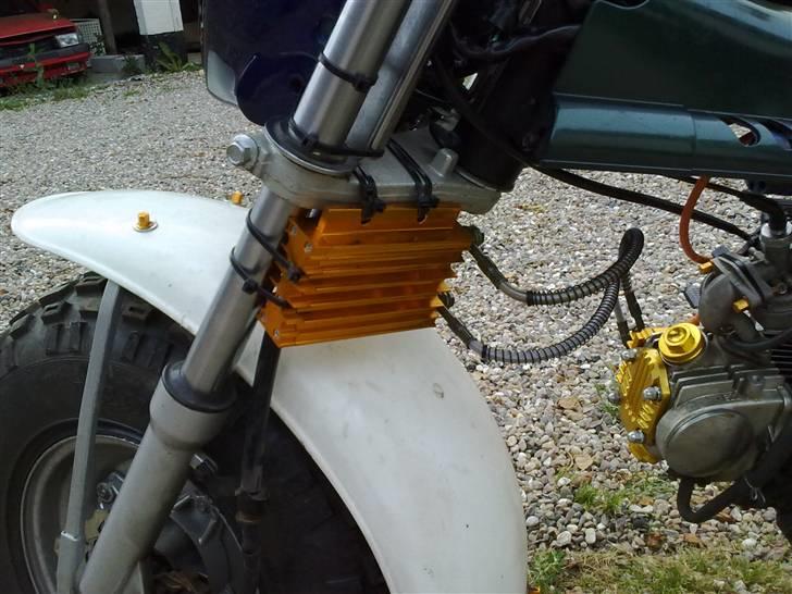 Skyteam t,rex 50,ccm billede 7