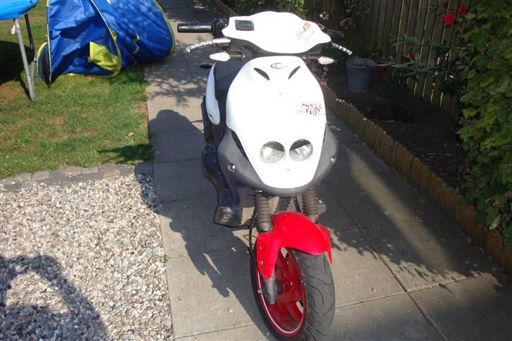 PGO Pmx sport (no fear) solgt billede 2