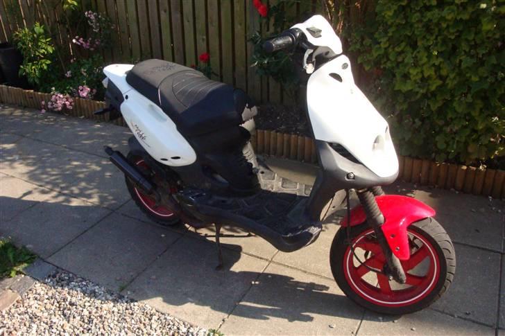 PGO Pmx sport (no fear) solgt billede 3