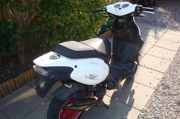 PGO Pmx sport (no fear) solgt billede 4