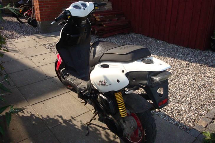 PGO Pmx sport (no fear) solgt billede 5