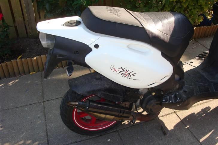 PGO Pmx sport (no fear) solgt billede 6