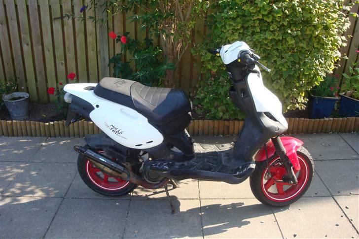 PGO Pmx sport (no fear) solgt billede 7