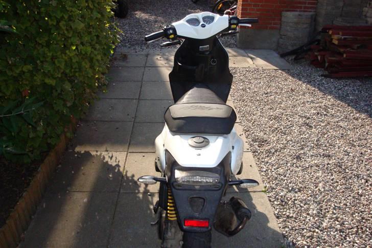 PGO Pmx sport (no fear) solgt billede 8