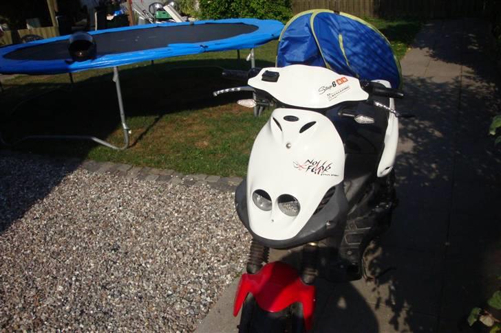 PGO Pmx sport (no fear) solgt billede 9