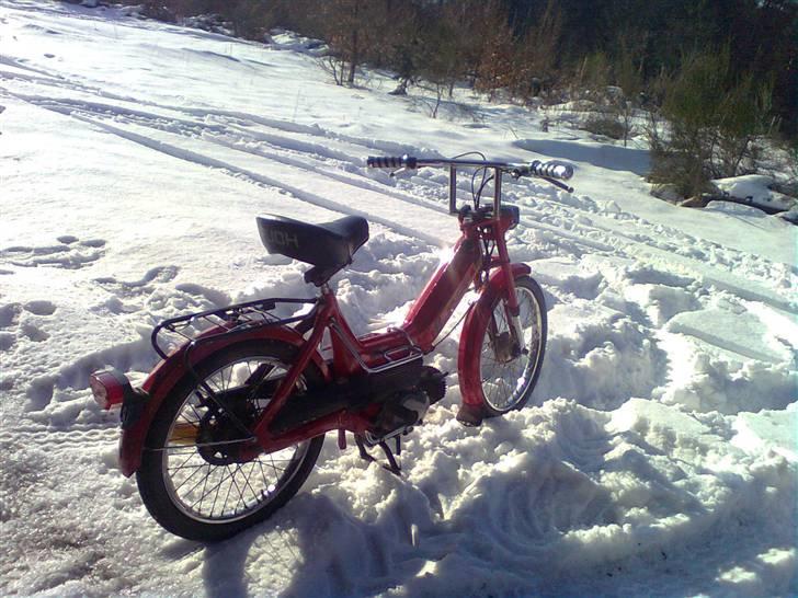 Puch Maxi   billede 2