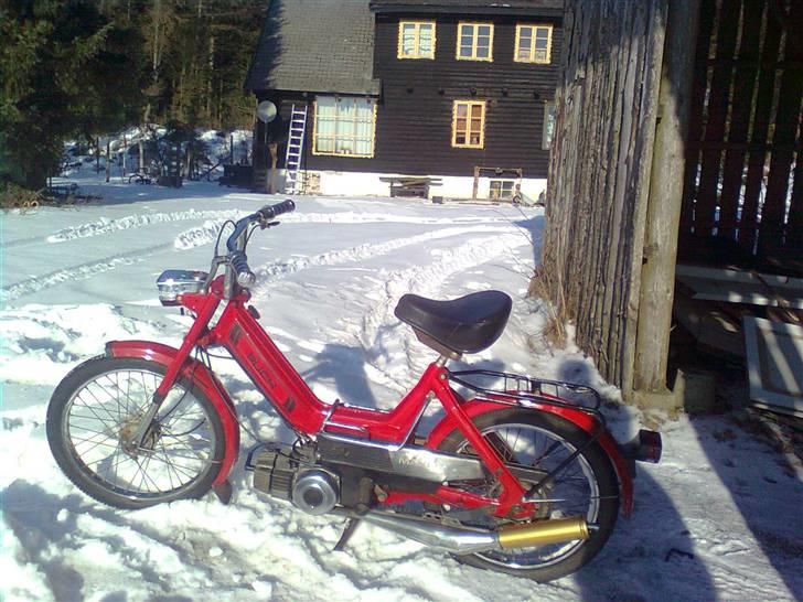 Puch Maxi   billede 3