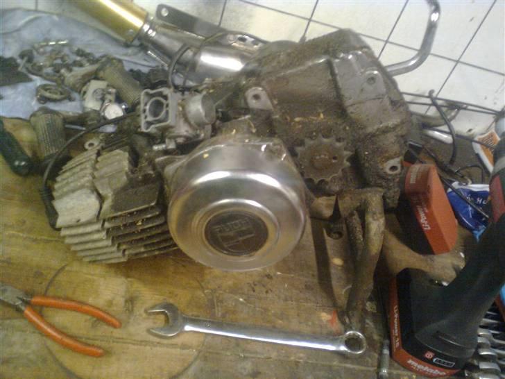 Puch Maxi   billede 5