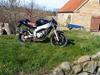 Aprilia rs 50 $