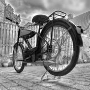 Veteraner Diesella Senior