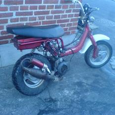 Suzuki fz/hot50(solgt)