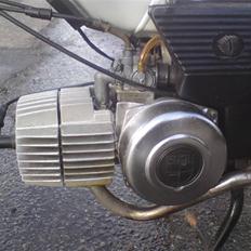 Puch maxi k (SOLGT)
