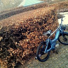 Puch        Maxi K E50 - SOLGT