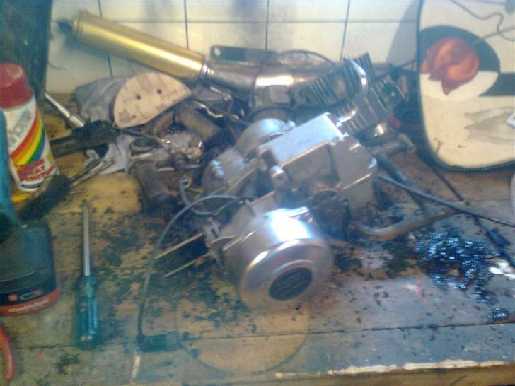 Puch Maxi   billede 9