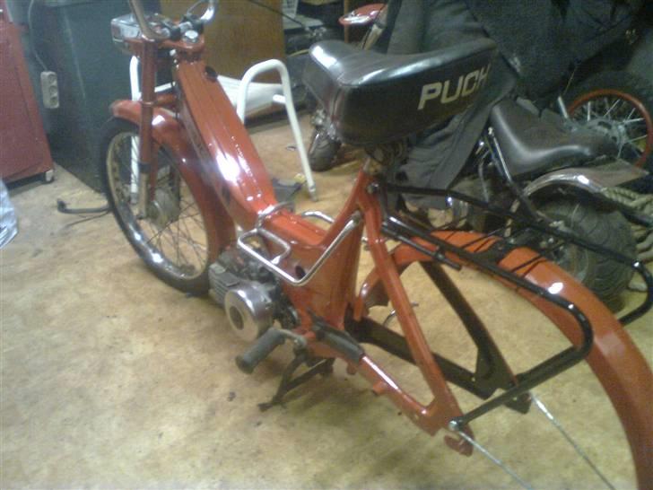 Puch Maxi   billede 10