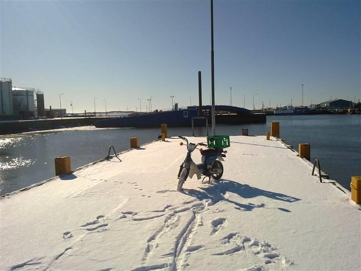 Suzuki fz50 Æ' Spritter  billede 15