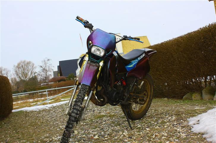 Suzuki rmx ¤ kameleon ¤ byttet billede 2