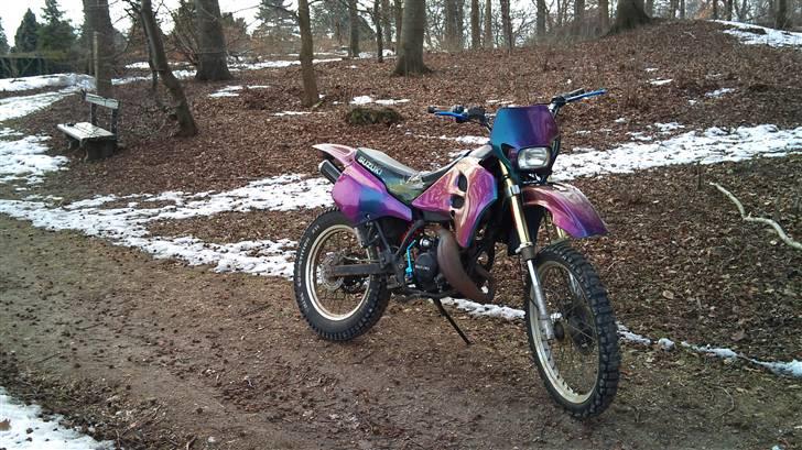 Suzuki rmx ¤ kameleon ¤ byttet billede 3