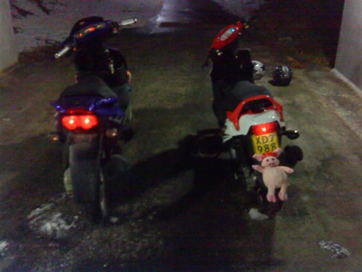 PGO Dr. Big billede 5