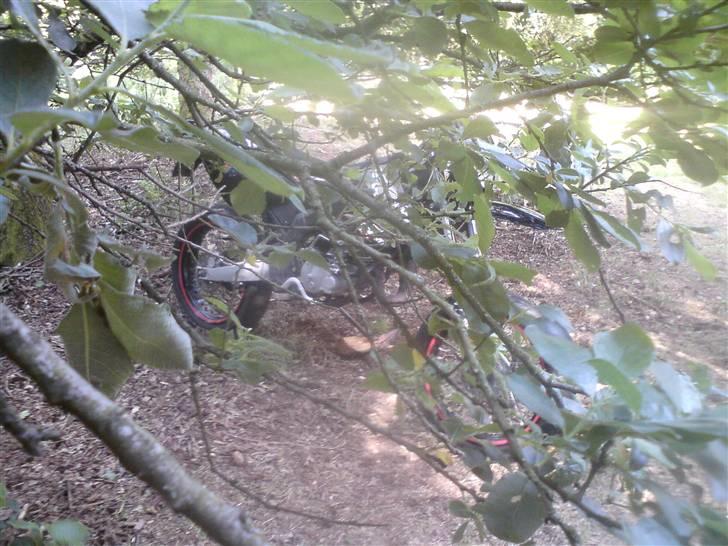 Derbi SM X-Treme billede 8