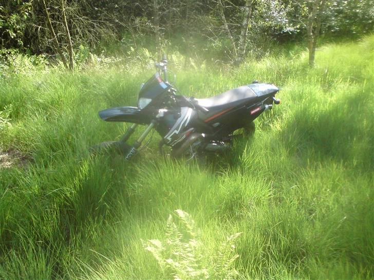 Derbi SM X-Treme billede 10