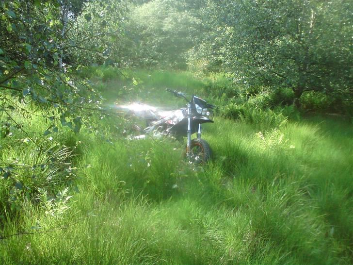 Derbi SM X-Treme billede 12