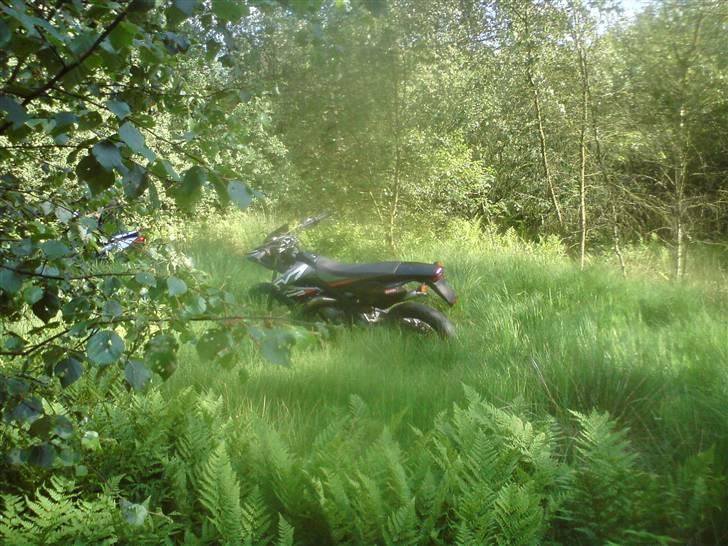 Derbi SM X-Treme billede 13