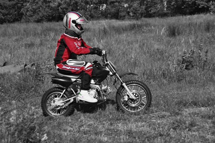MiniBike Pitbike 110 SOLGT! billede 2