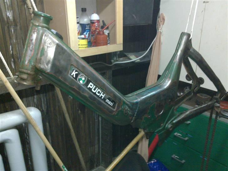 Puch Maxi k  1 EJER billede 6