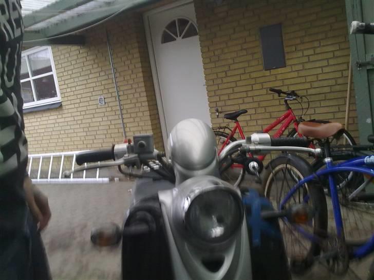 Giantco venus SOLGT billede 4