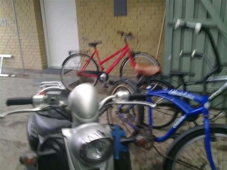 Giantco venus SOLGT billede 5