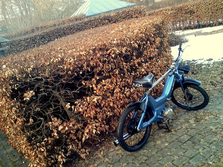 Puch        Maxi K E50 - SOLGT billede 2