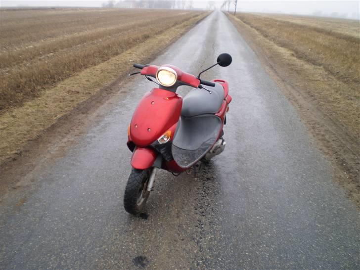 PGO rodoshow SOLGT  billede 1