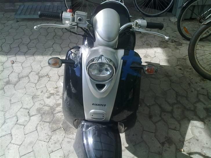 Giantco venus SOLGT billede 6