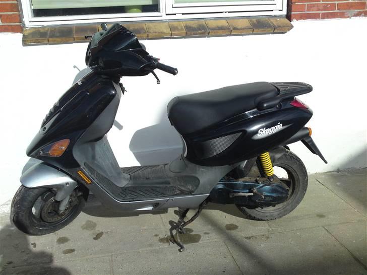 Atala skeggia billede 1