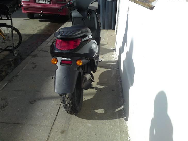 Atala skeggia billede 3