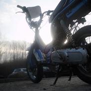 Suzuki Fz50 (ny ejer)