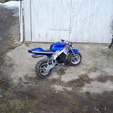 MiniBike Pocketbike ((Givet væk)) 