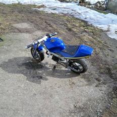 MiniBike Pocketbike ((Givet væk)) 