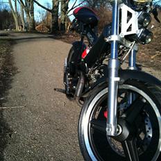 Sachs madass <3 (solgt) :/