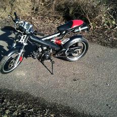 Sachs madass <3 (solgt) :/