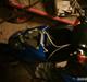 Piaggio nrg mc3