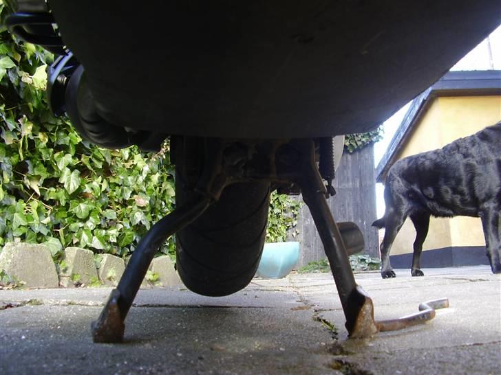 Piaggio Nrg Power DT(tilsalg) billede 16