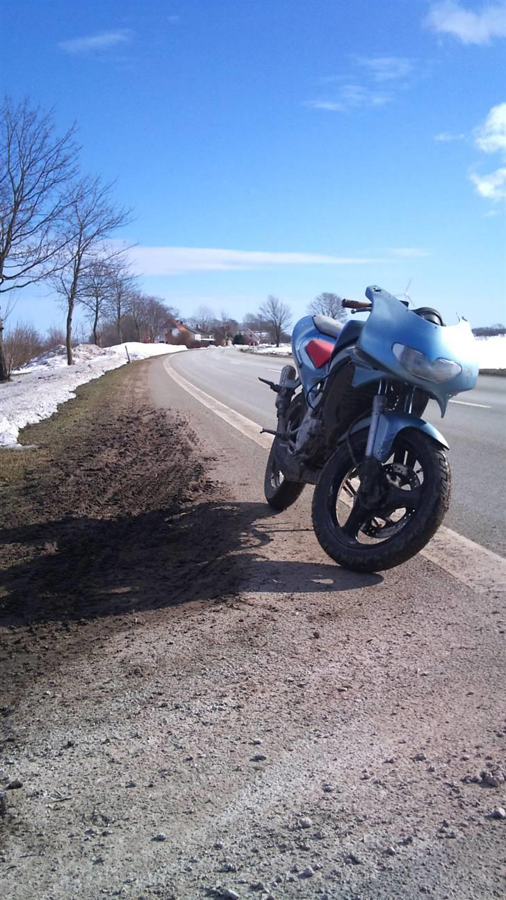 Aprilia rs50(solgt) billede 2