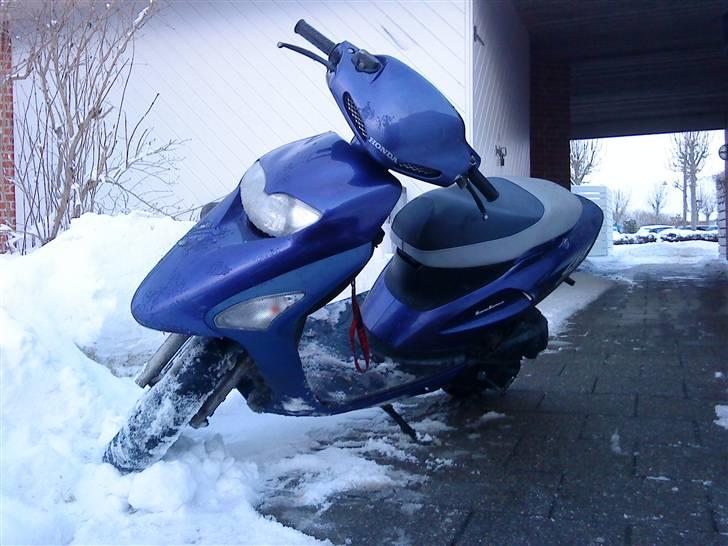 Honda Sfx - #SOLGT# billede 1